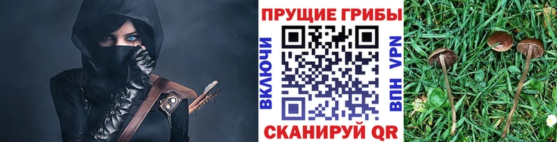 Галлюциногенные грибы мухоморы  сайты даркнета официальный сайт  Мариинск  магазин   